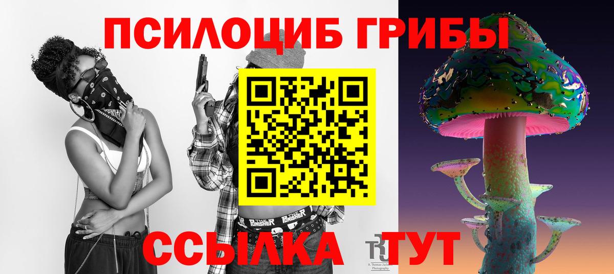 Галлюциногенные грибы Psilocybine cubensis Нижний Новгород