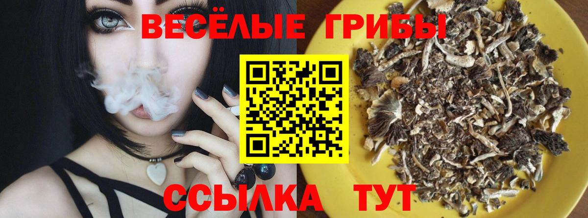 Галлюциногенные грибы Magic Shrooms  Вход с VPN  Псилоцибиновые грибы Magic Shrooms  Нижний Новгород 